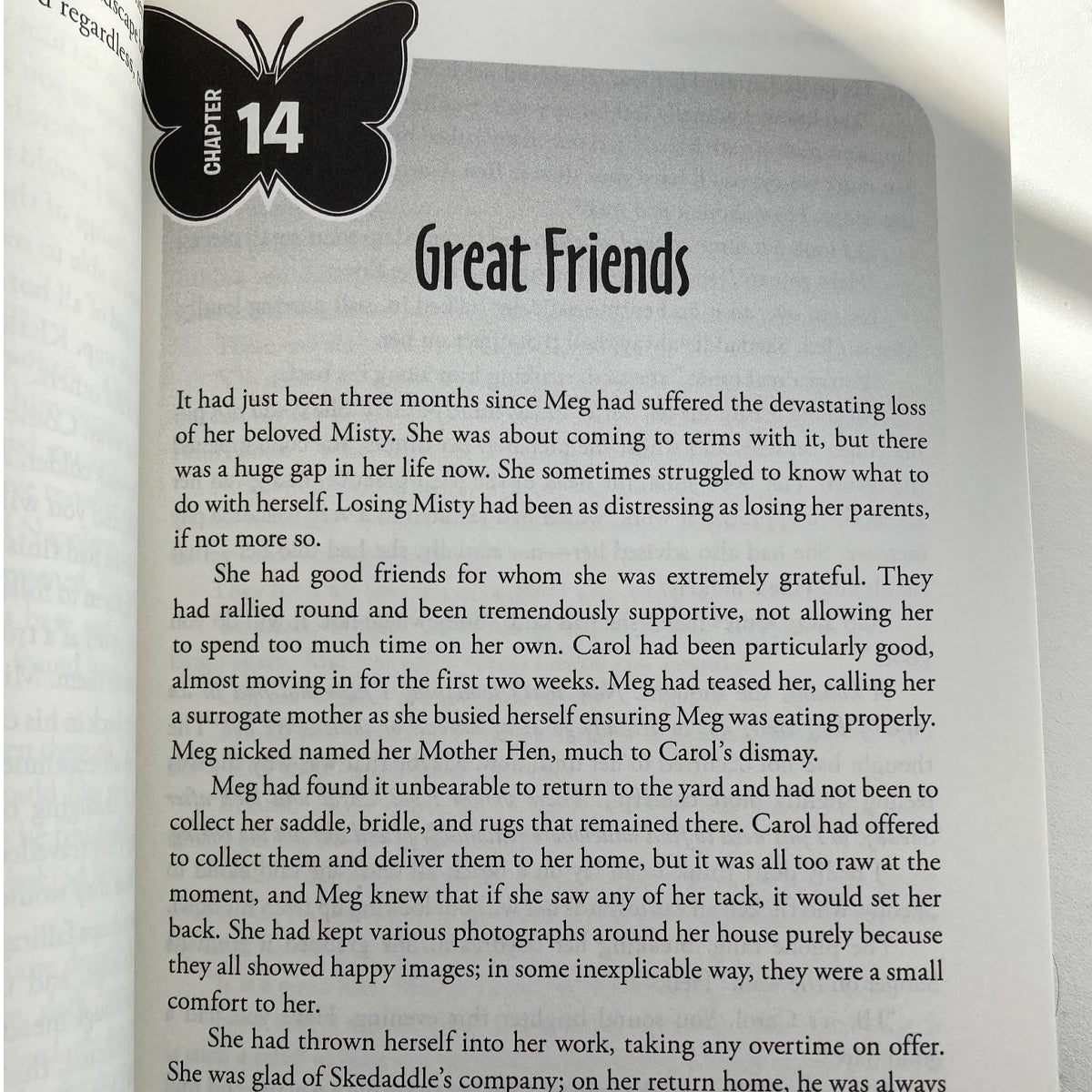 Children’s Book Novel fantasy fictional adventure story of animals friendships and family dynamics