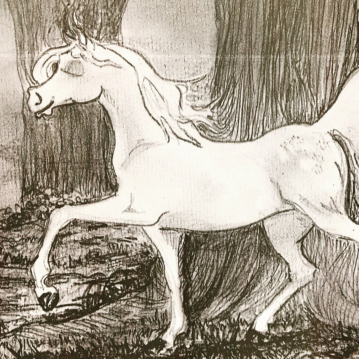 Children’s Book Novel fantasy fictional adventure story of animals friendships and family dynamics