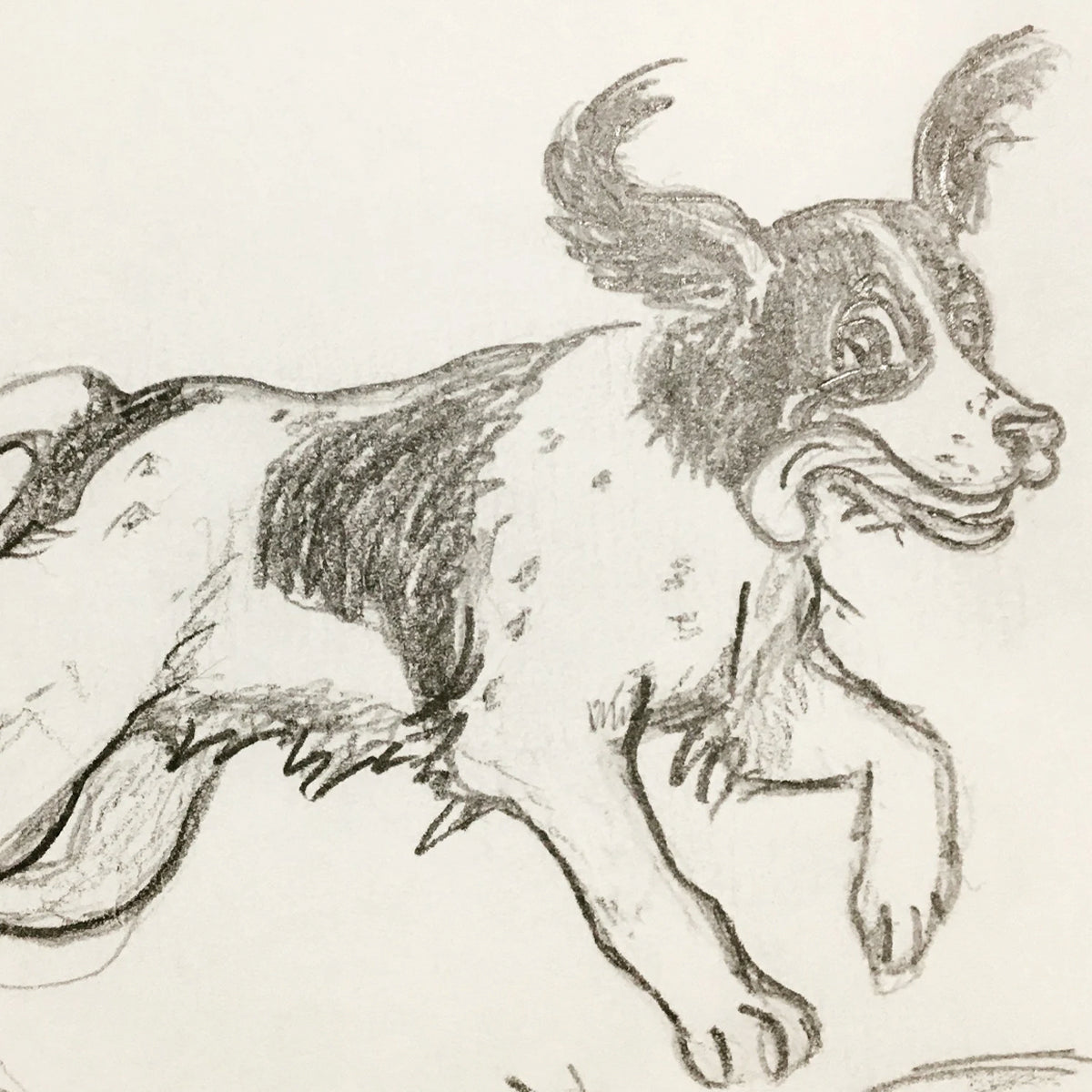 Children’s Book Novel fantasy fictional adventure story of animals friendships and family dynamics