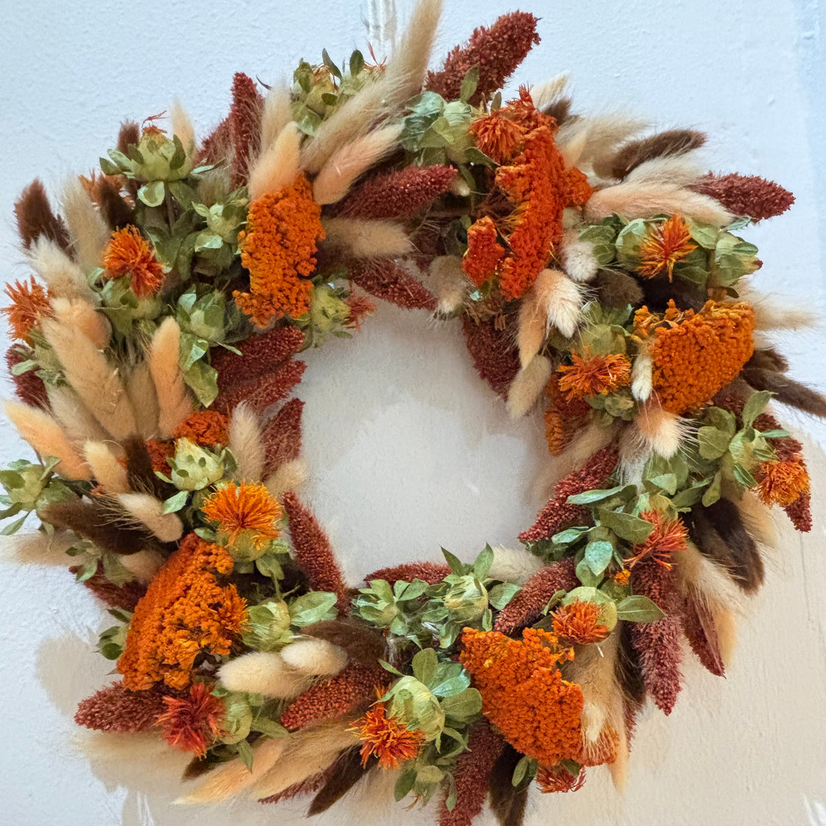 An autumn coloured dried flower wreath featuring vibrant orange thistle flowers, fluffy, peach, beige and brown bunny grasses, deep red millet pods and pale green leaves, displayed against a white wall.