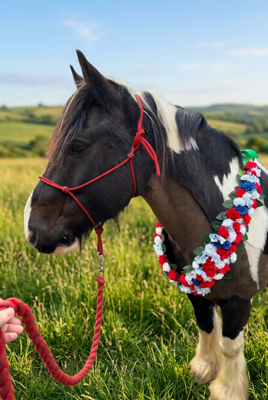 Hand made, red, white, and blue garland around the neck of a horse wearing a red headcollar with a red lead rope in an outdoor setting in a grass field with hills in the background.