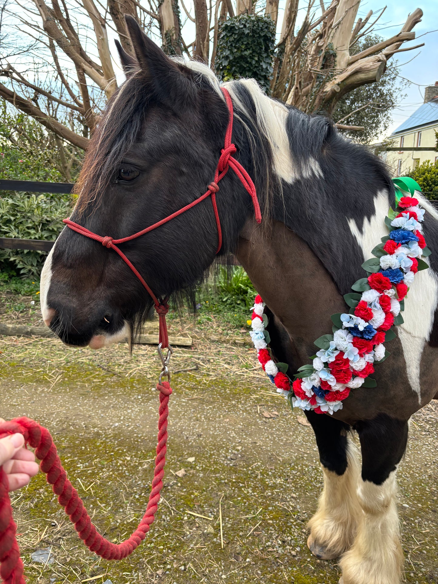 Horse Pony Champion Flower Neck Garland. Equine silk flower garland for show winner. Red White and Blue