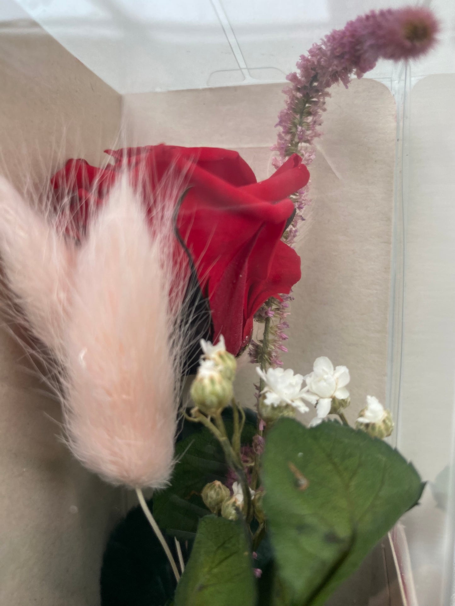 Natural Preserved Single Red Rose and dried flowers in a presentation box