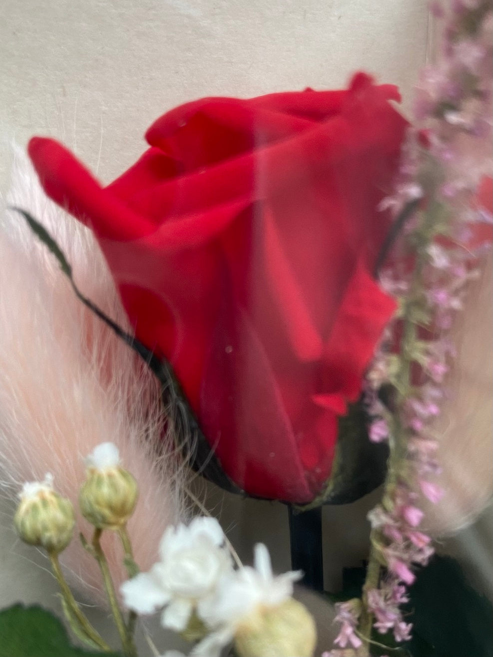 Natural Preserved Single Red Rose and dried flowers in a presentation box